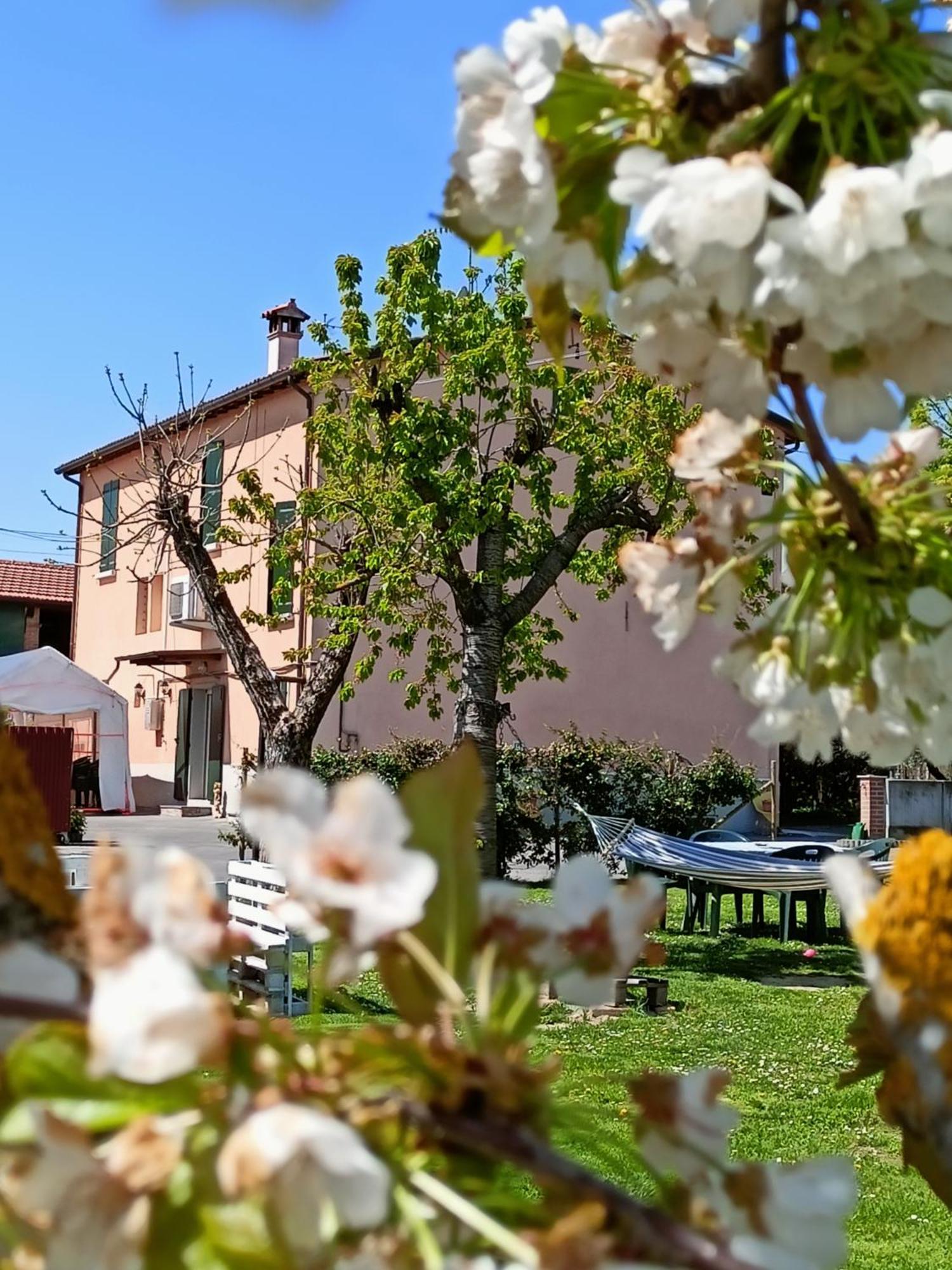 La Casa Della Nonna Bed and Breakfast Brisighella Εξωτερικό φωτογραφία
